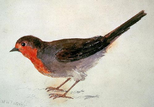 John M. W. Turner, Watercolor of a Robin
