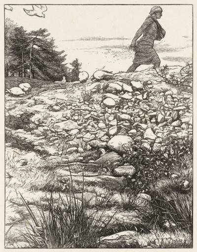 Parable of the Sower, John Everett Millais